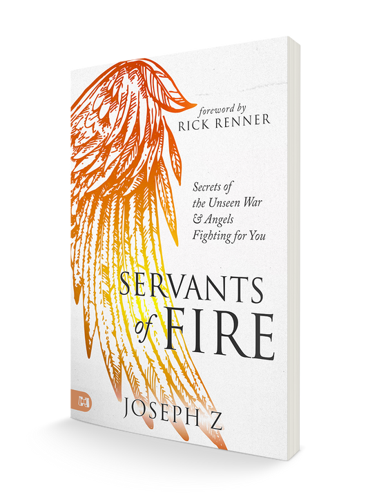 Servants of Fire: Secrets of the Unseen War and Angels Fighting For You