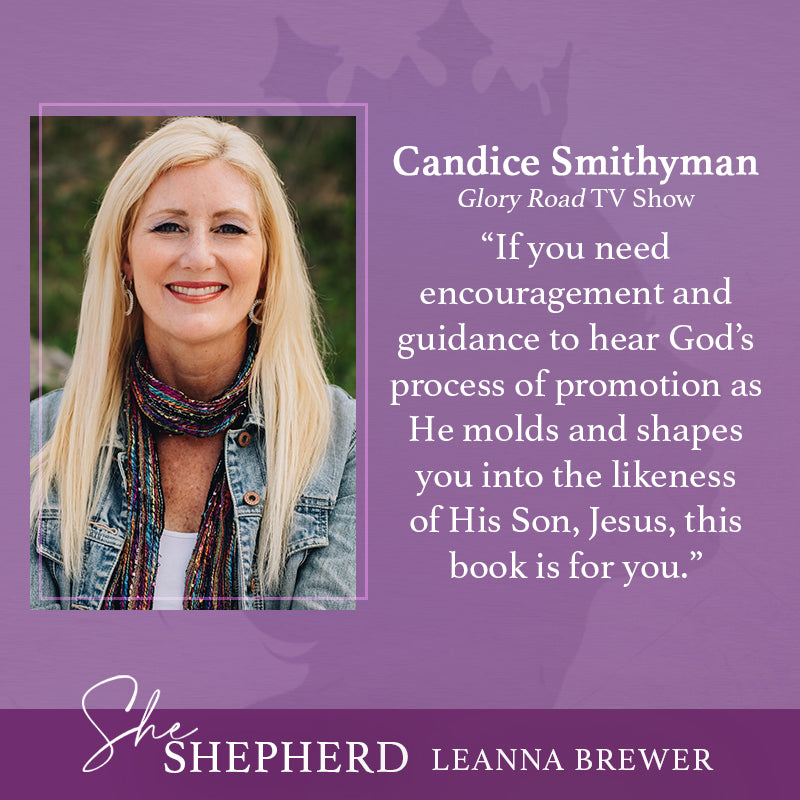 She Shepherd: Positioning Yourself For Promotion From The Field To The Palace Paperback – September 3, 2024