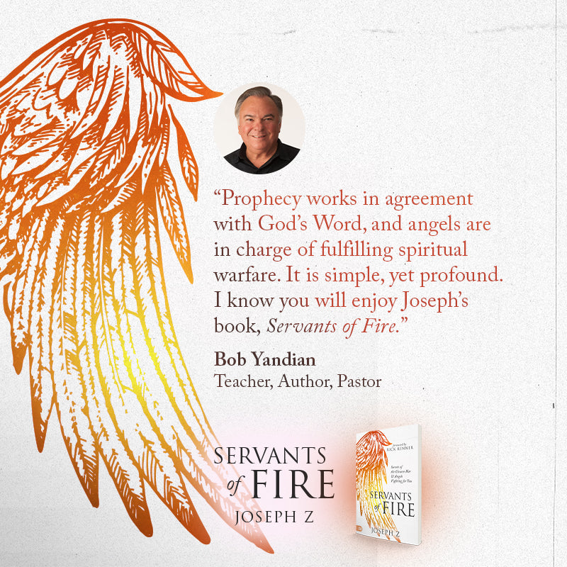 Servants of Fire: Secrets of the Unseen War and Angels Fighting For You