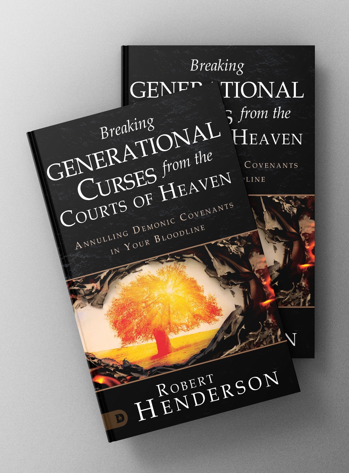Breaking Generational Curses from the Courts of Heaven: Annulling Demonic Covenants in Your Bloodline Paperback – August 1, 2023 - Faith & Flame - Books and Gifts - Destiny Image - 9780768474664